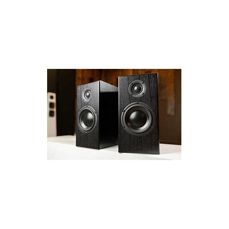 TOTEM ACOUSTIC BISON  MONITOR