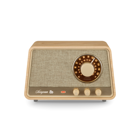 SANGEAN WR-101 Radio AM/FM com Bluetooth