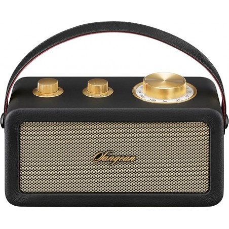 SANGEAN RA-101 Radio Portatil de madeira FM/Bluetooth/TWS/AUX