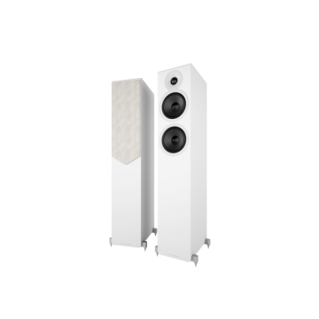 ACOUSTIC ENERGY AE309²...