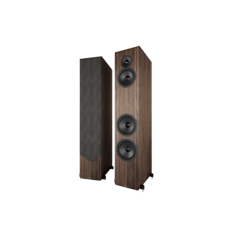 ACOUSTIC ENERGY AE320² Coluna Chao