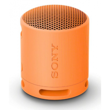 Sony  SRS-XB100D Coluna BT