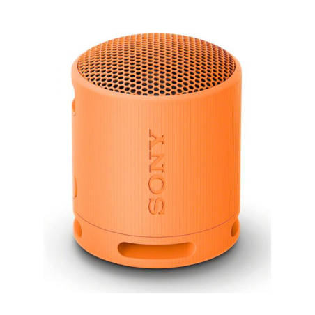 Sony  SRS-XB100D Coluna BT