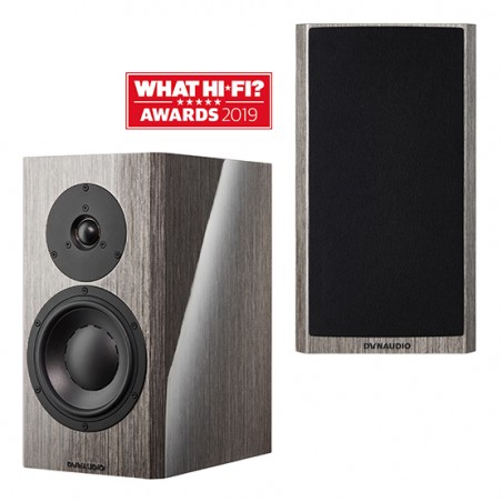 DYNAUDIO SPECIAL FORTY Coluna Monitor grey birch high